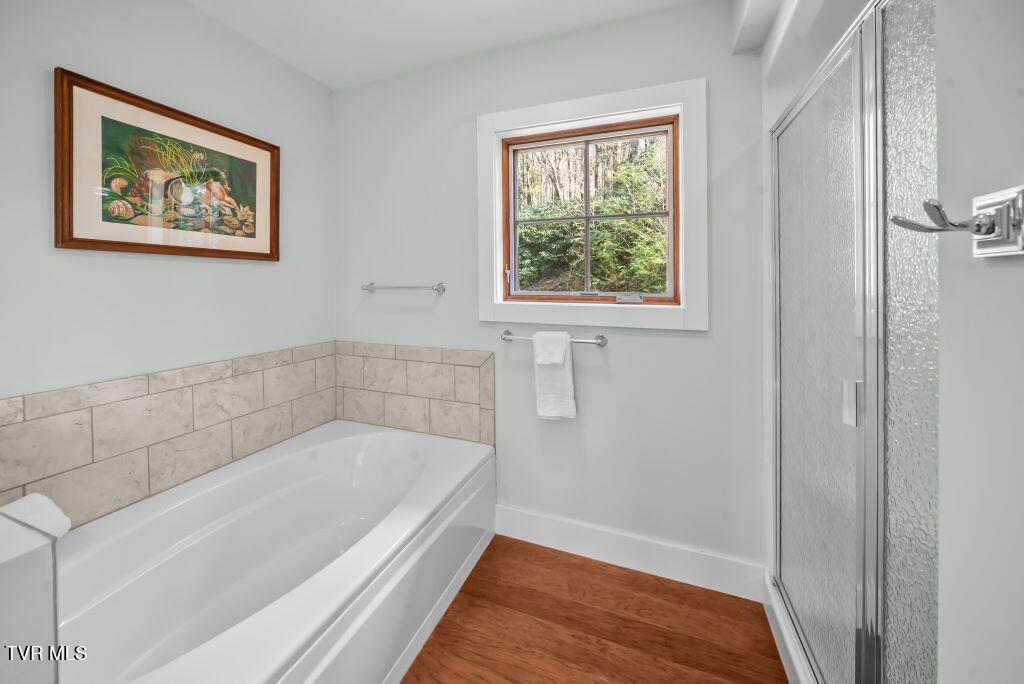 342 Ripshin Lake Road Roan Mountain, TN 37687 - Photo 27 of 50 27