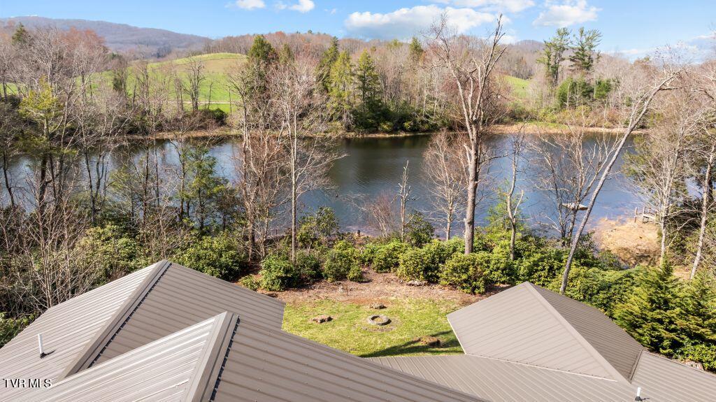 342 Ripshin Lake Road Roan Mountain, TN 37687 - Photo 44 of 50 44