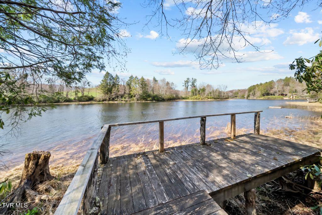 342 Ripshin Lake Road Roan Mountain, TN 37687 - Photo 5 of 50 5