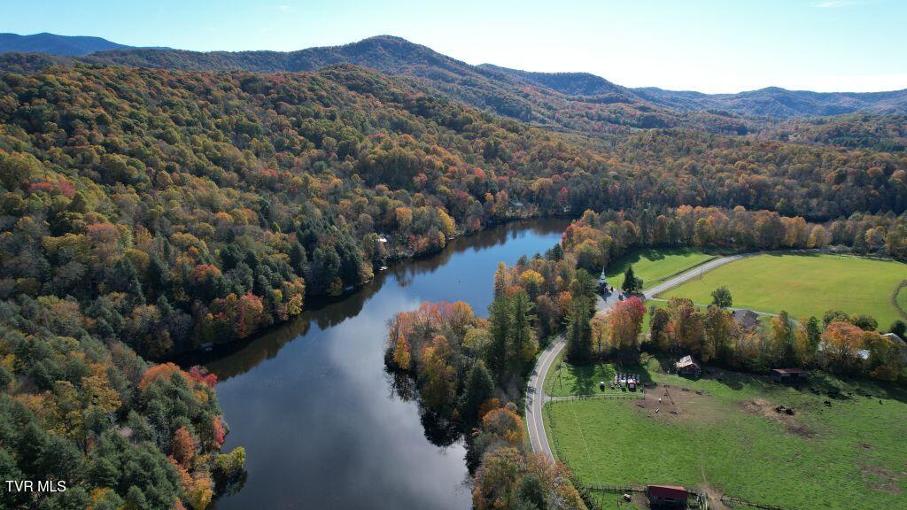 342 Ripshin Lake Road Roan Mountain, TN 37687 - Photo 6 of 50 6