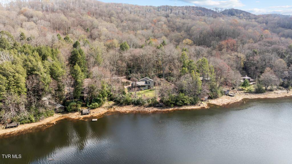 342 Ripshin Lake Road Roan Mountain, TN 37687 - Photo 7 of 50 7