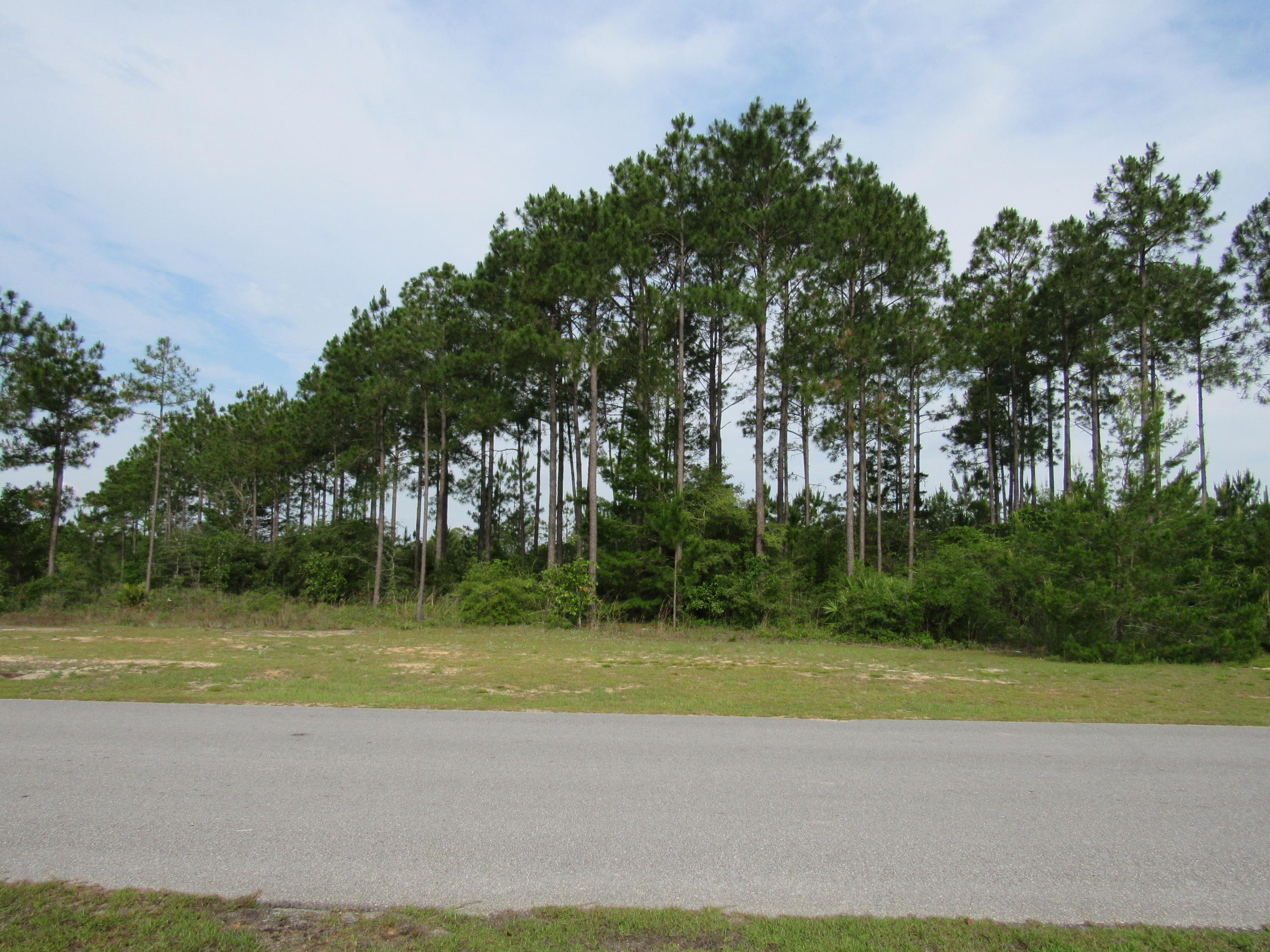 Lot 9 D Club Freeport, FL 32439 - Photo 1 of 20 a view of a golf course