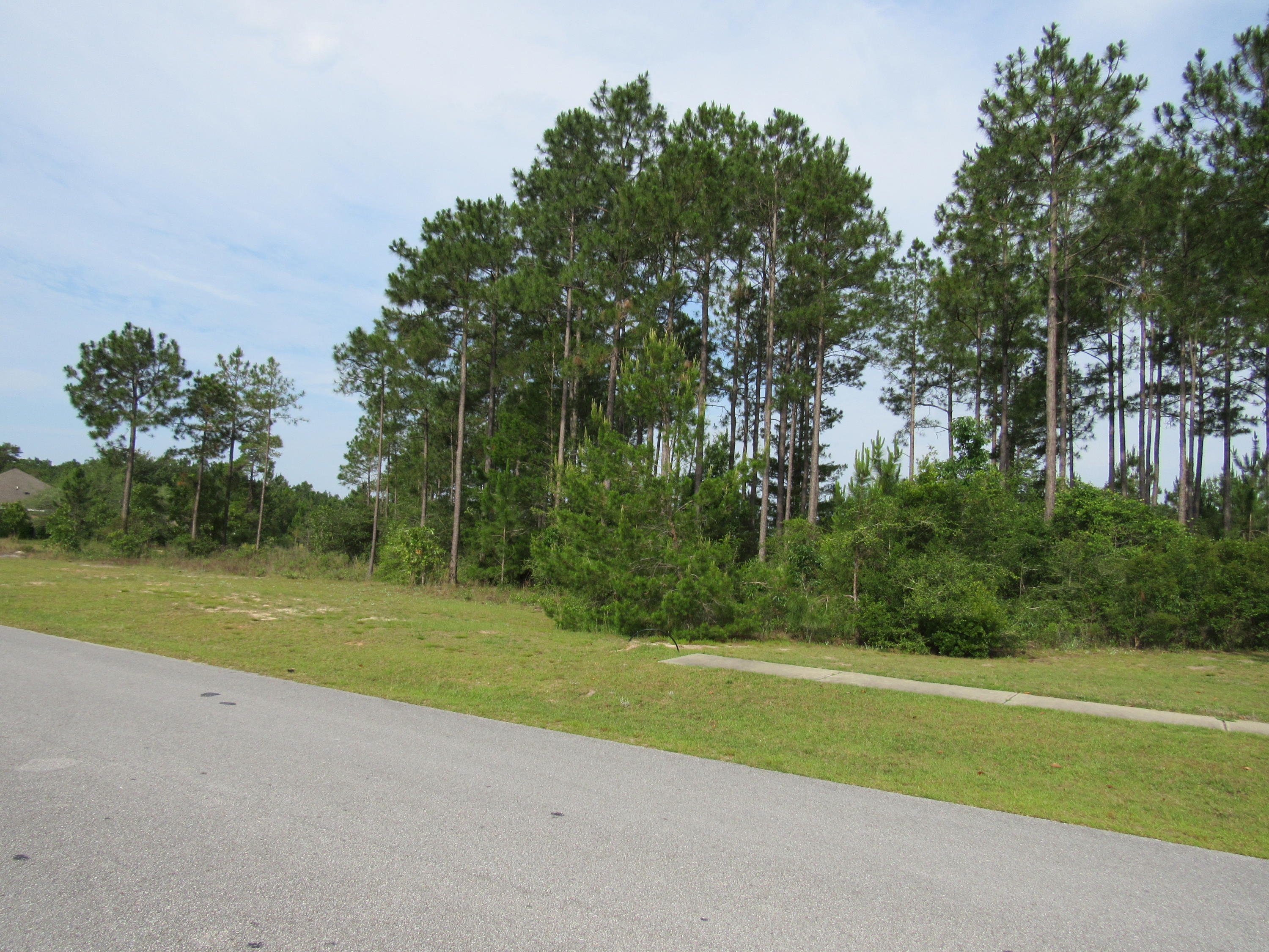 Lot 9 D Club Freeport, FL 32439 - Photo 5 of 20 a view of a field of grass and trees