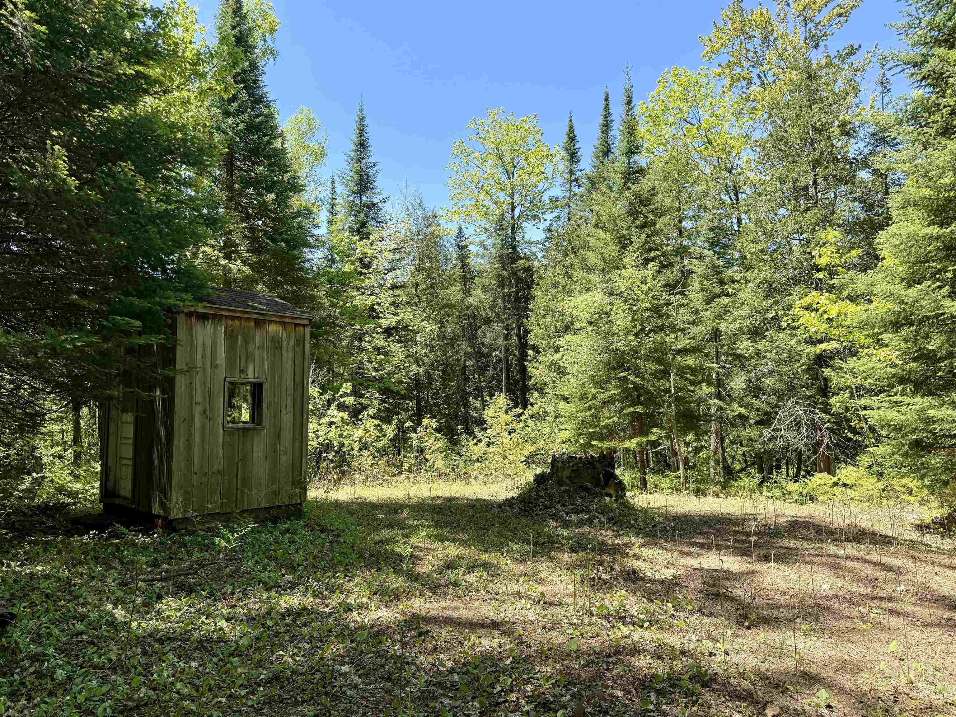 0 Ora Lake Road Hale, MI 48739 - Photo 8 of 22