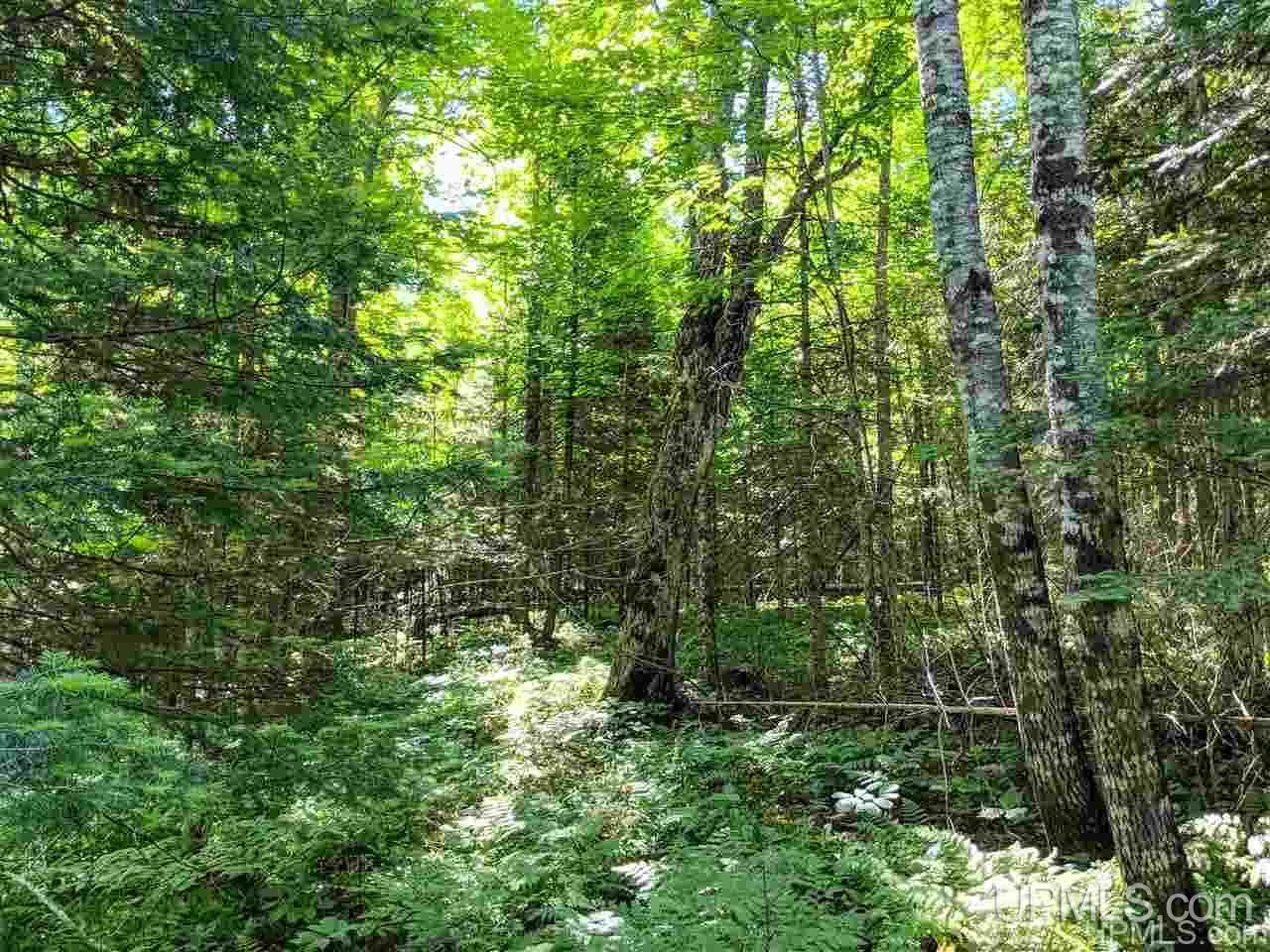 1356 Bates-Amasa Road Iron River, MI 49935 - Photo 6 of 11