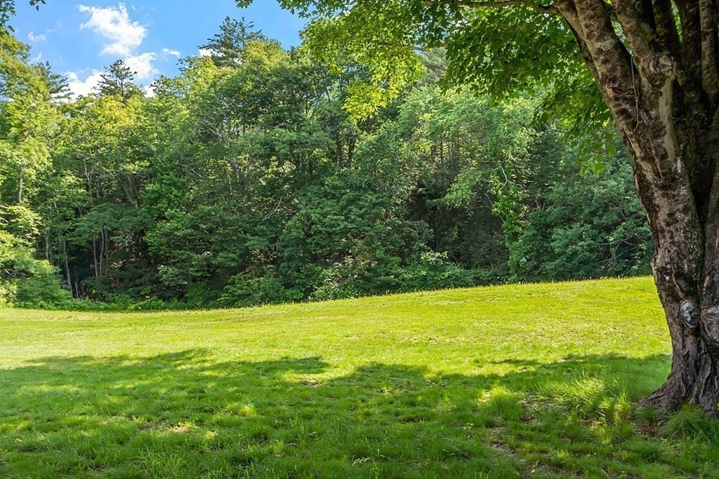 85 Blood Road Charlton, MA 01507 - Photo 5 of 30 a view of a large yard with a large trees