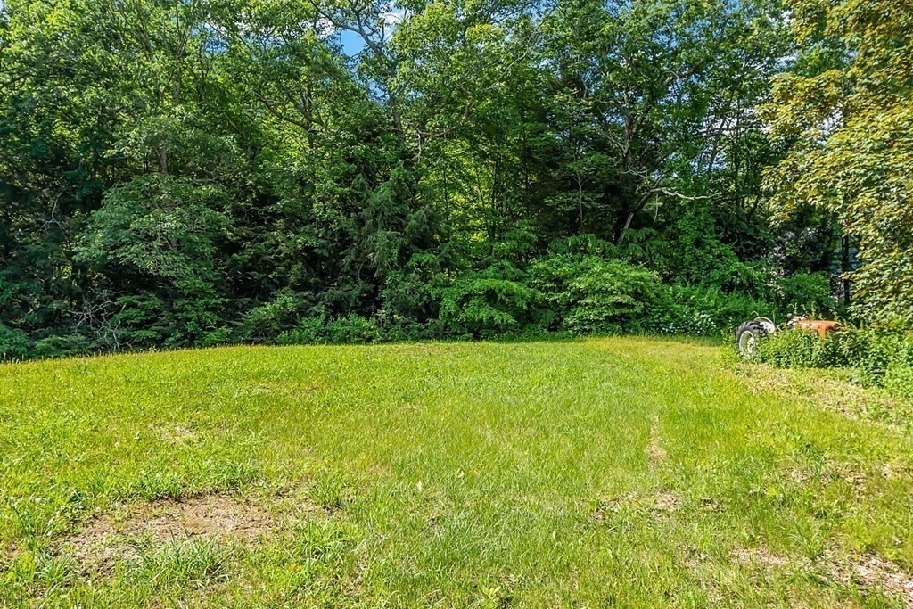 85 Blood Road Charlton, MA 01507 - Photo 6 of 30 a view of a yard with a tree
