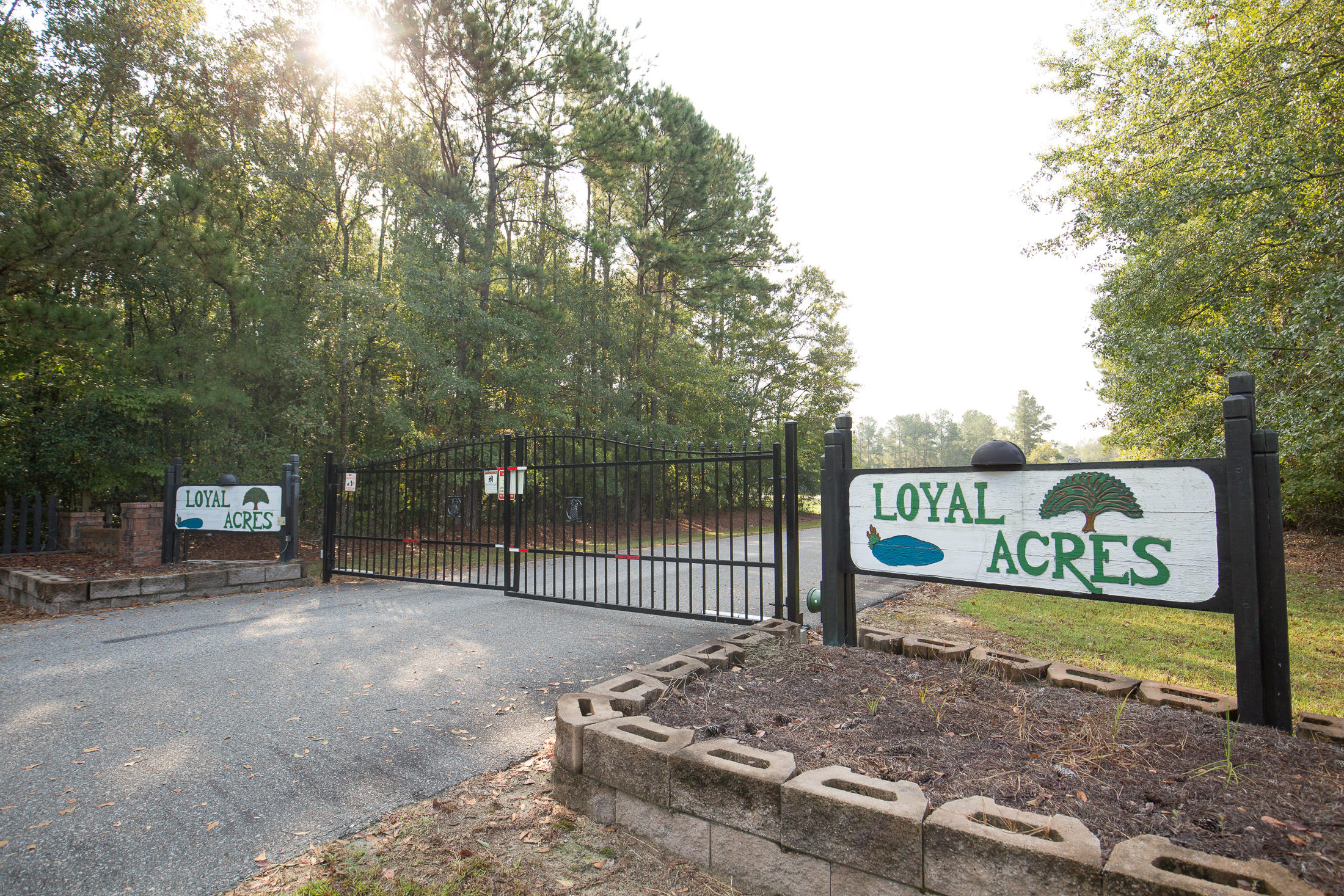 508 Sugar Loaf Road Cross, SC 29436 - Photo 19 of 24 508SugarLoafLane100119-8262