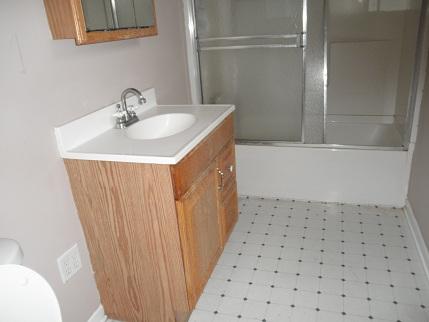 768 North 43rd Road Mendota, IL 61342 - Photo 5 of 12 a bathroom with a sink a toilet and shower