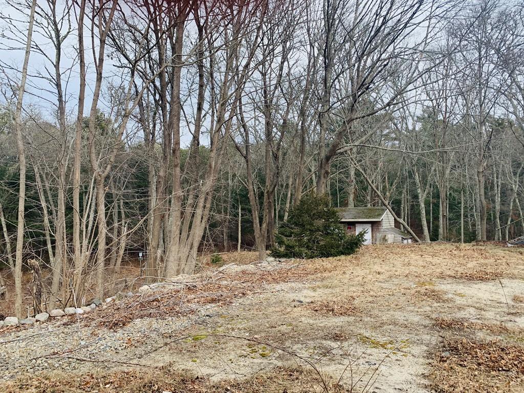 223 A County Road Bourne, MA 02532 - Photo 3 of 3 a backyard of a house with large trees