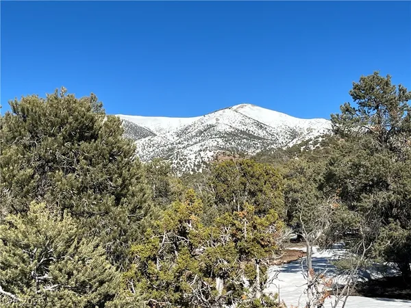 $120,000 | Lomprey, Pioche, NV 89043