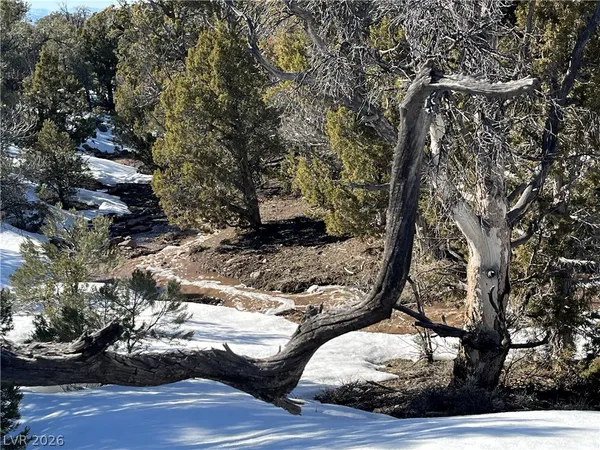$120,000 | Lomprey, Pioche, NV 89043