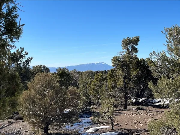 $120,000 | Lomprey, Pioche, NV 89043