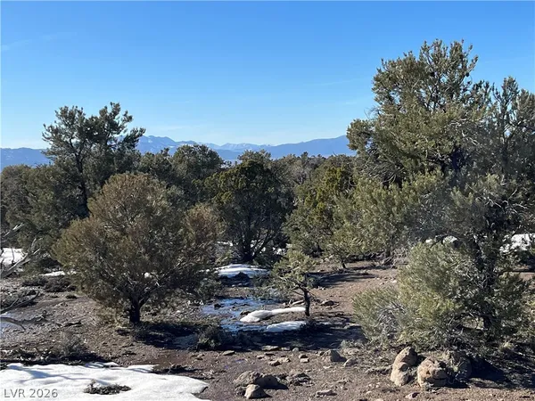 $120,000 | Lomprey, Pioche, NV 89043