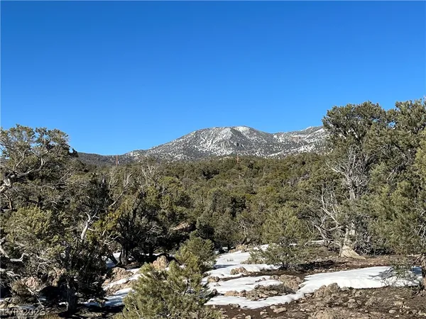 $120,000 | Lomprey, Pioche, NV 89043