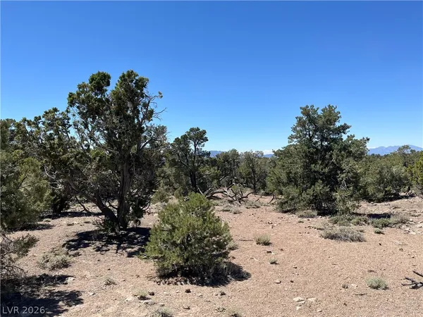 $120,000 | Lomprey, Pioche, NV 89043
