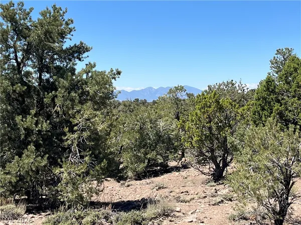 $120,000 | Lomprey, Pioche, NV 89043