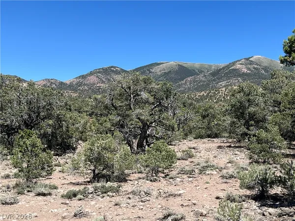 $120,000 | Lomprey, Pioche, NV 89043