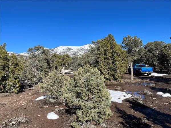 $120,000 | Lomprey, Pioche, NV 89043