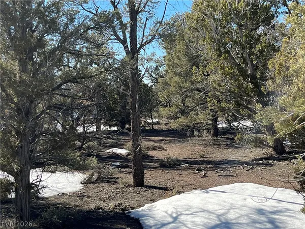 $120,000 | Lomprey, Pioche, NV 89043
