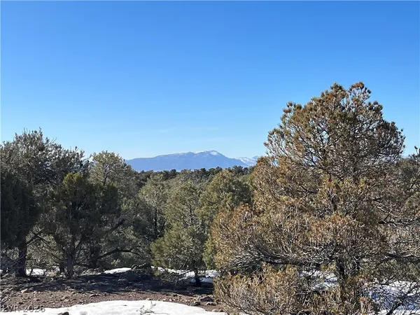 $120,000 | Lomprey, Pioche, NV 89043