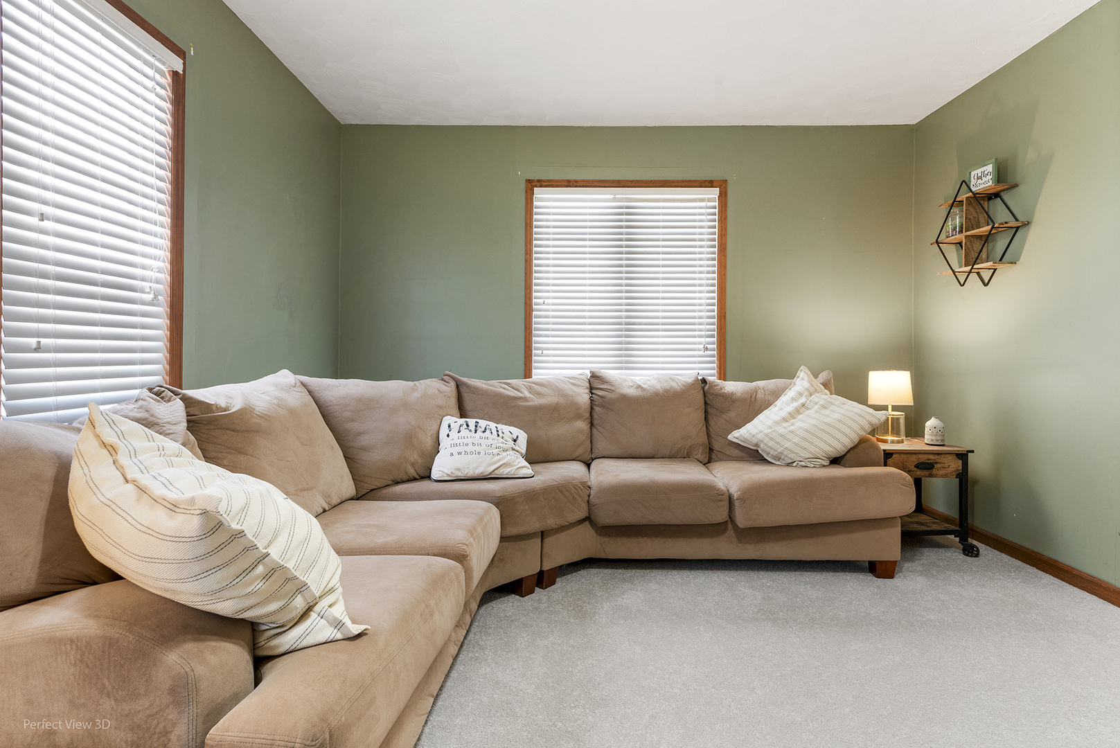 733 North 13th Street DeKalb, IL 60115 - Photo 6 of 22 a living room with a couch