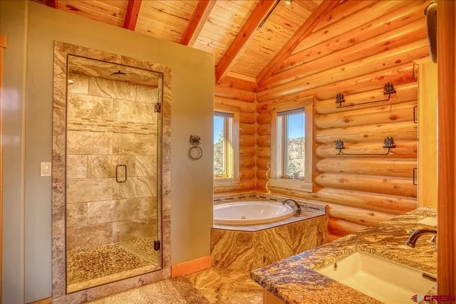 a bathroom with a sink and a shower