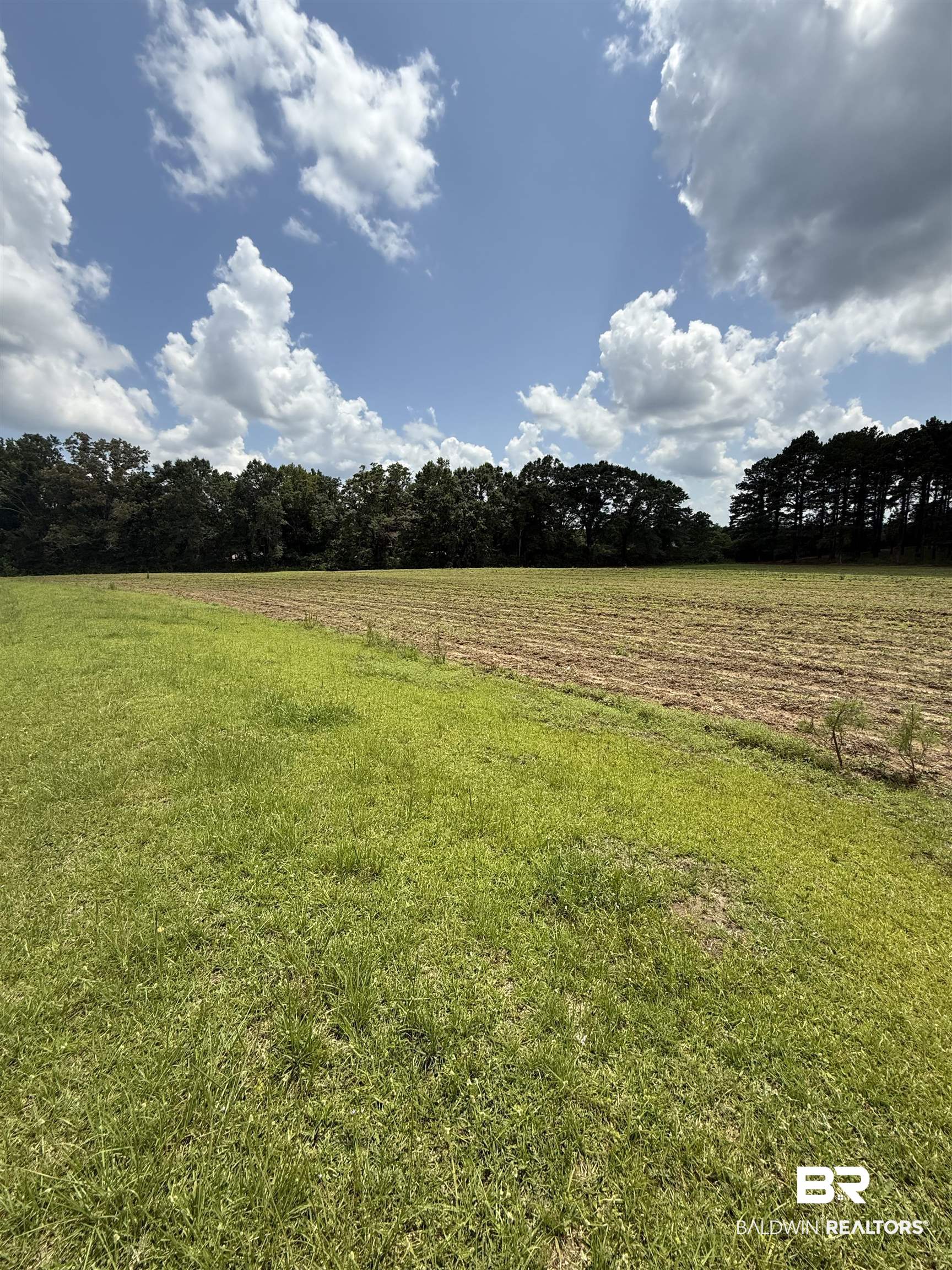 227 County Road 14 Range, AL 36473 - Photo 10 of 41