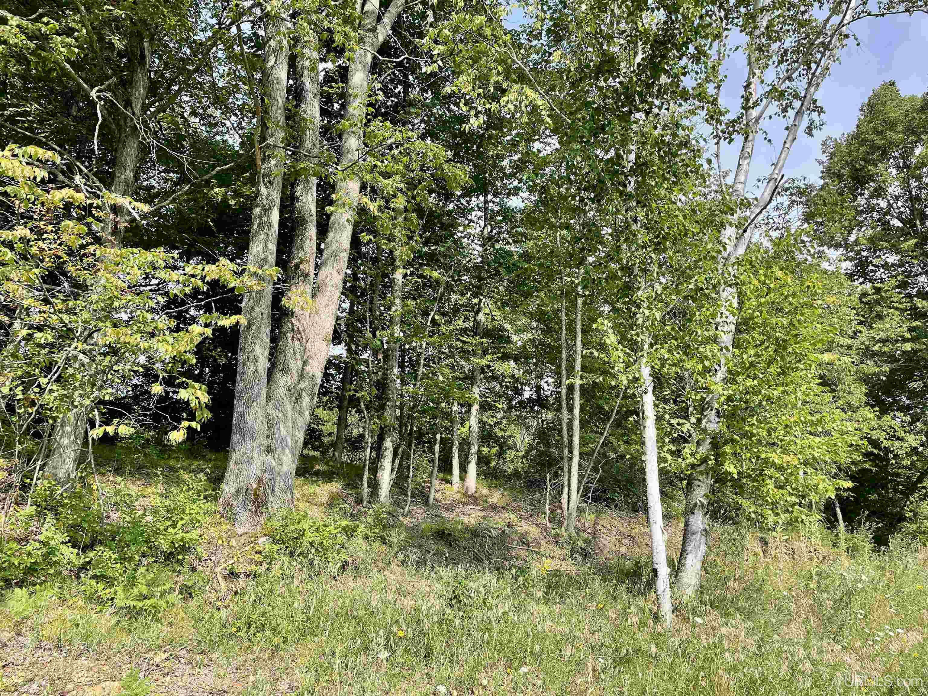 400 Rd Spalding Mi 49886 Road Powers, MI 49874 - Photo 15 of 24 Gallery Image 15