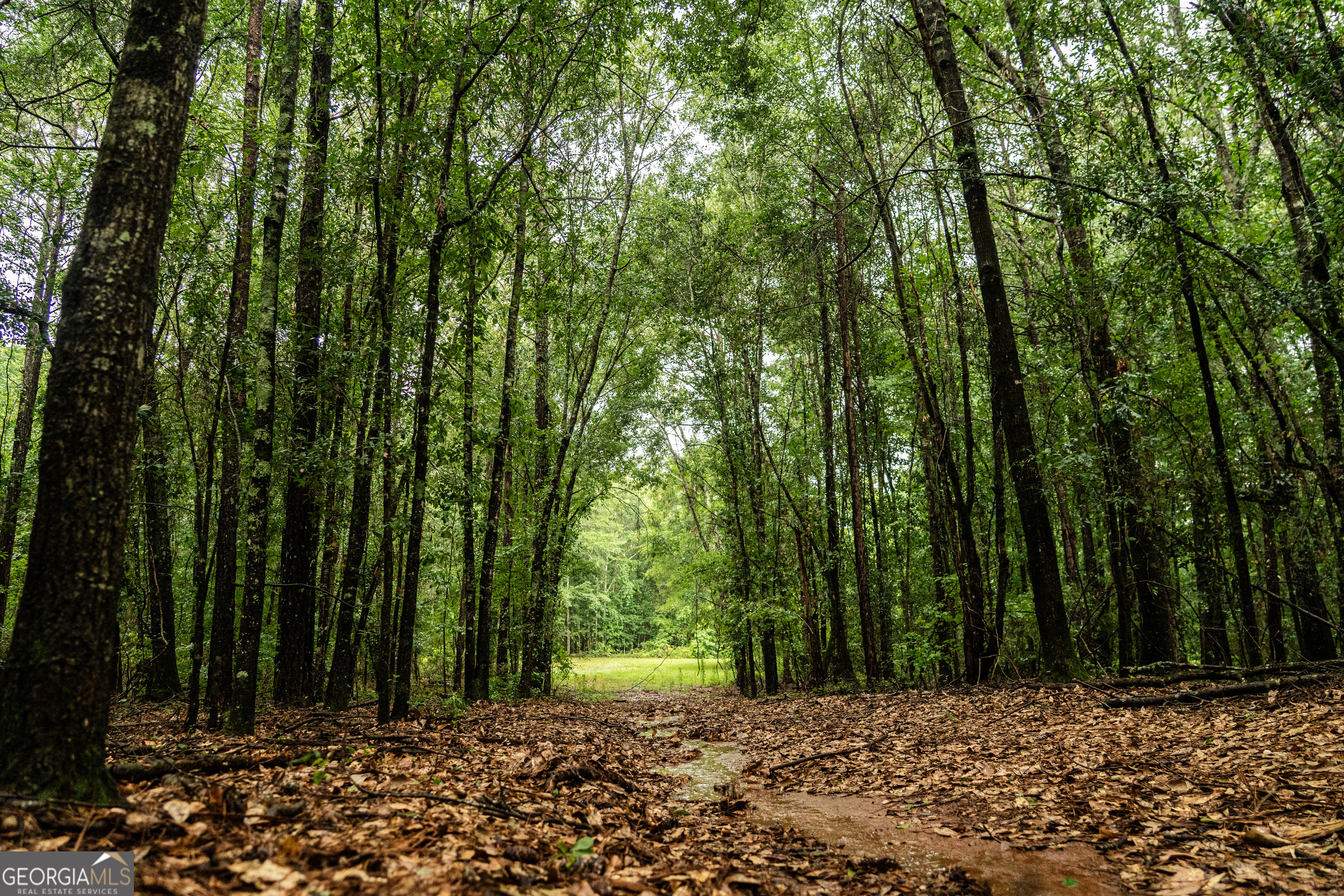 990 Highway 49 Americus, GA 31719 - Photo 70 of 121