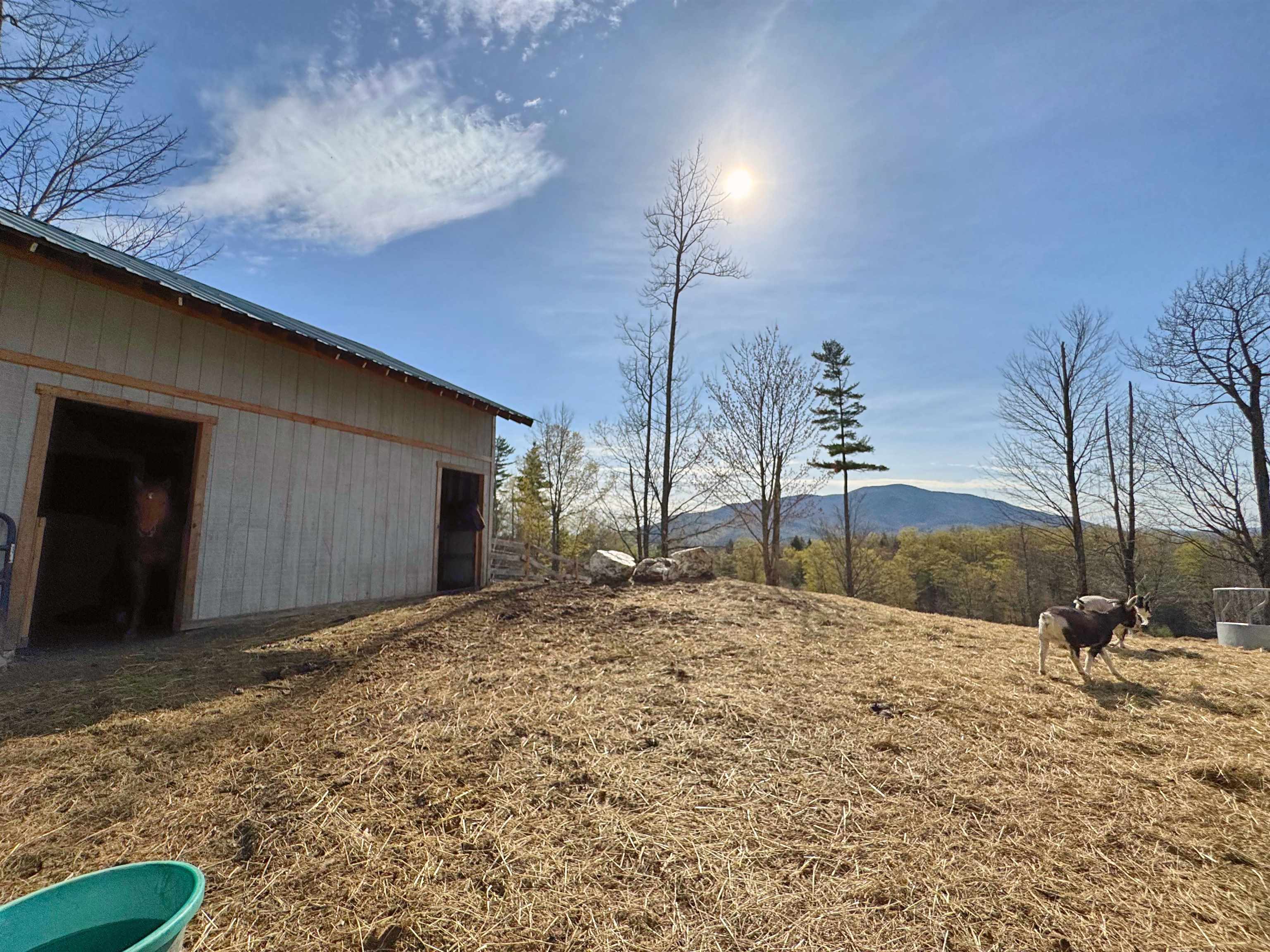 206 Root Hill Road Cornish, NH 03745 - Photo 39 of 39