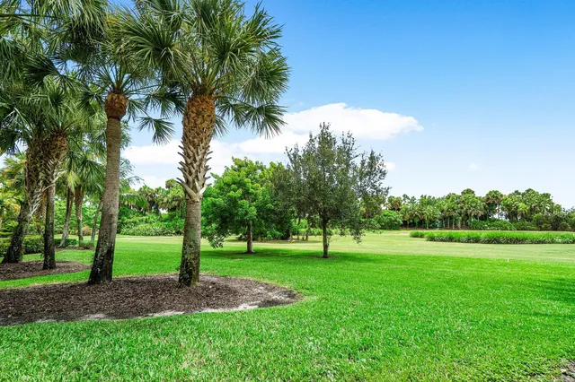 an aerial view of residential houses with outdoor space and river