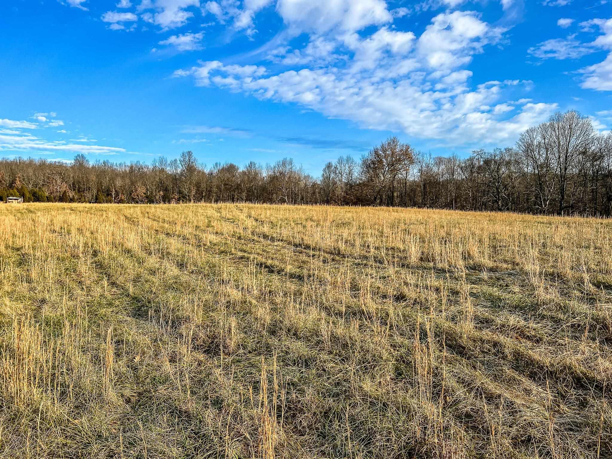 1075 Hidden Valley Road Mitchell, IN 47446 - Photo 11 of 32