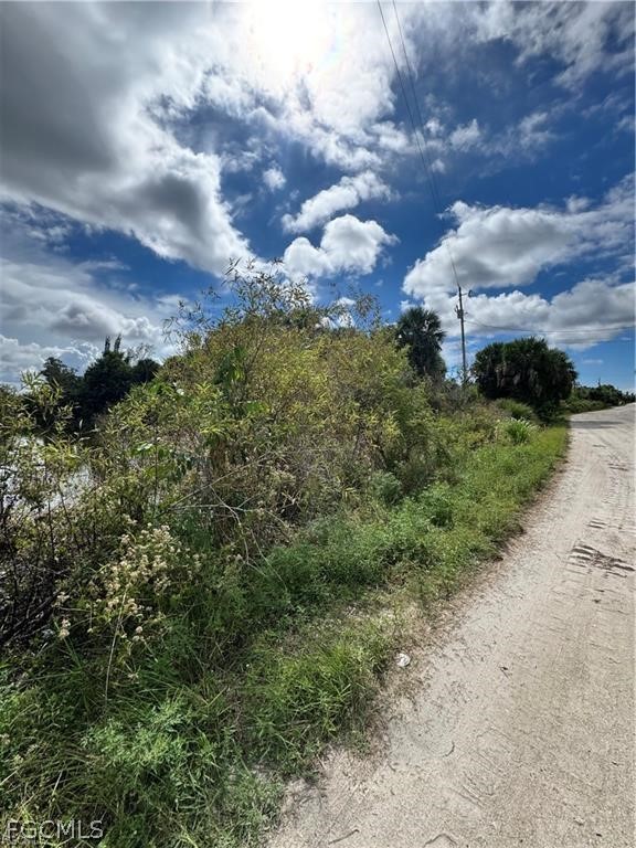 7253 Kreamers Drive Bokeelia, FL 33922 - Photo 3 of 4 a view of a bunch of trees