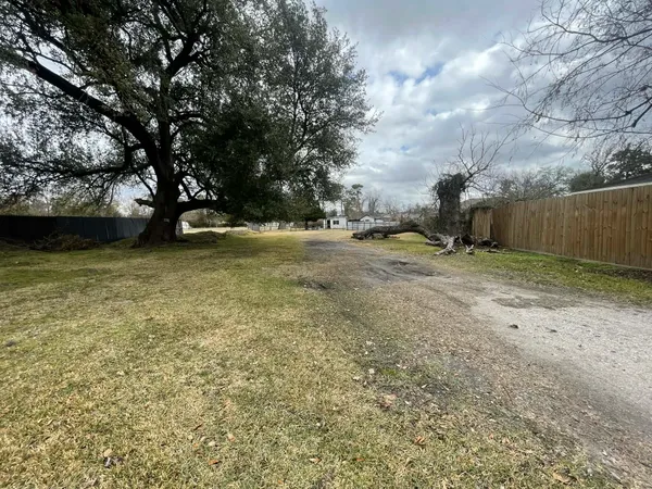 a view of a tree next to a yard