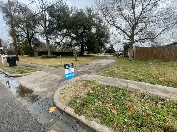 a view of a park with large trees