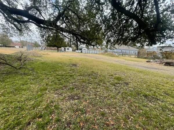 a view of yard with large trees