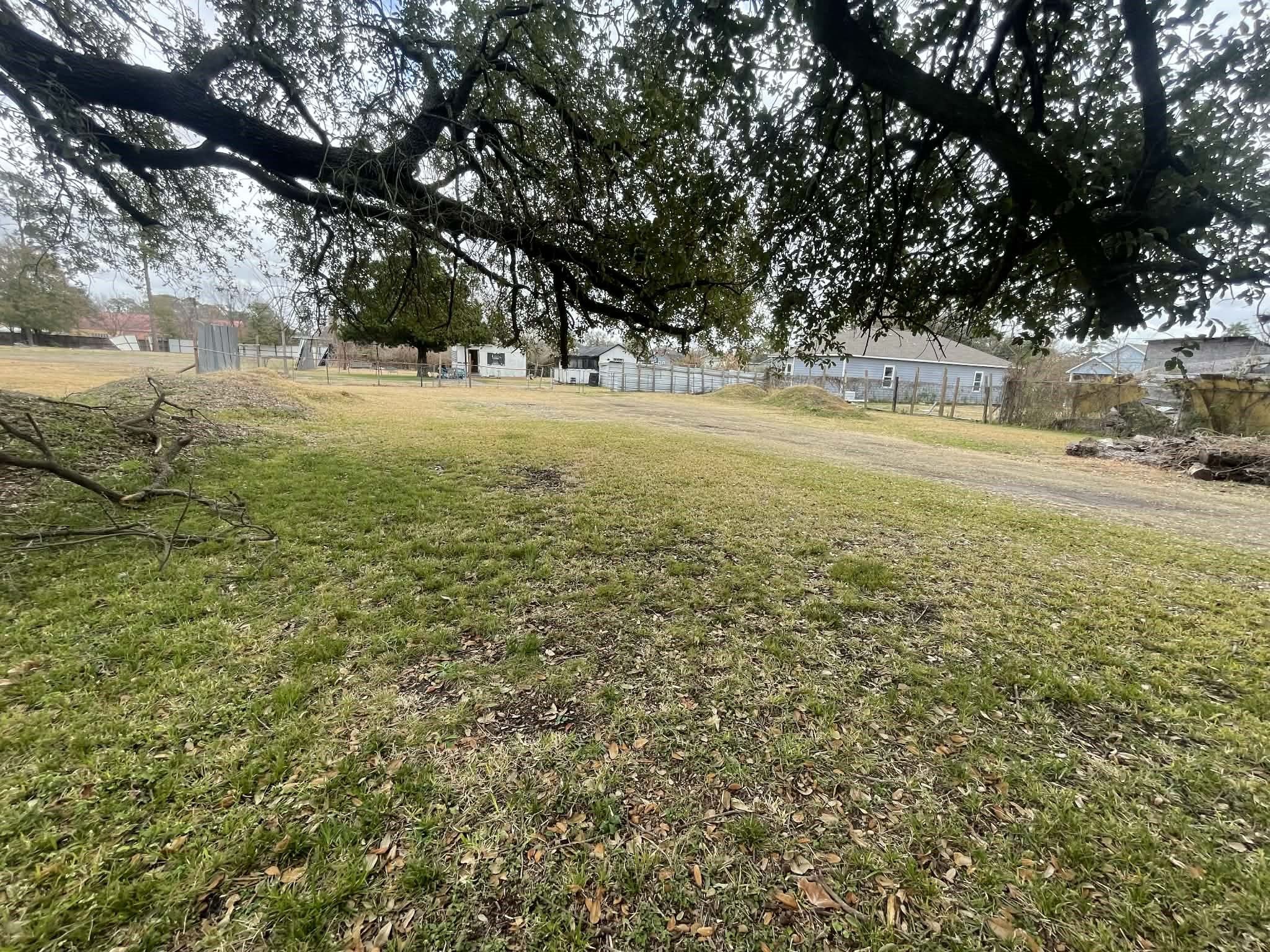 0 Knox Street Houston, TX 77091 - Photo 7 of 9 a view of yard with large trees