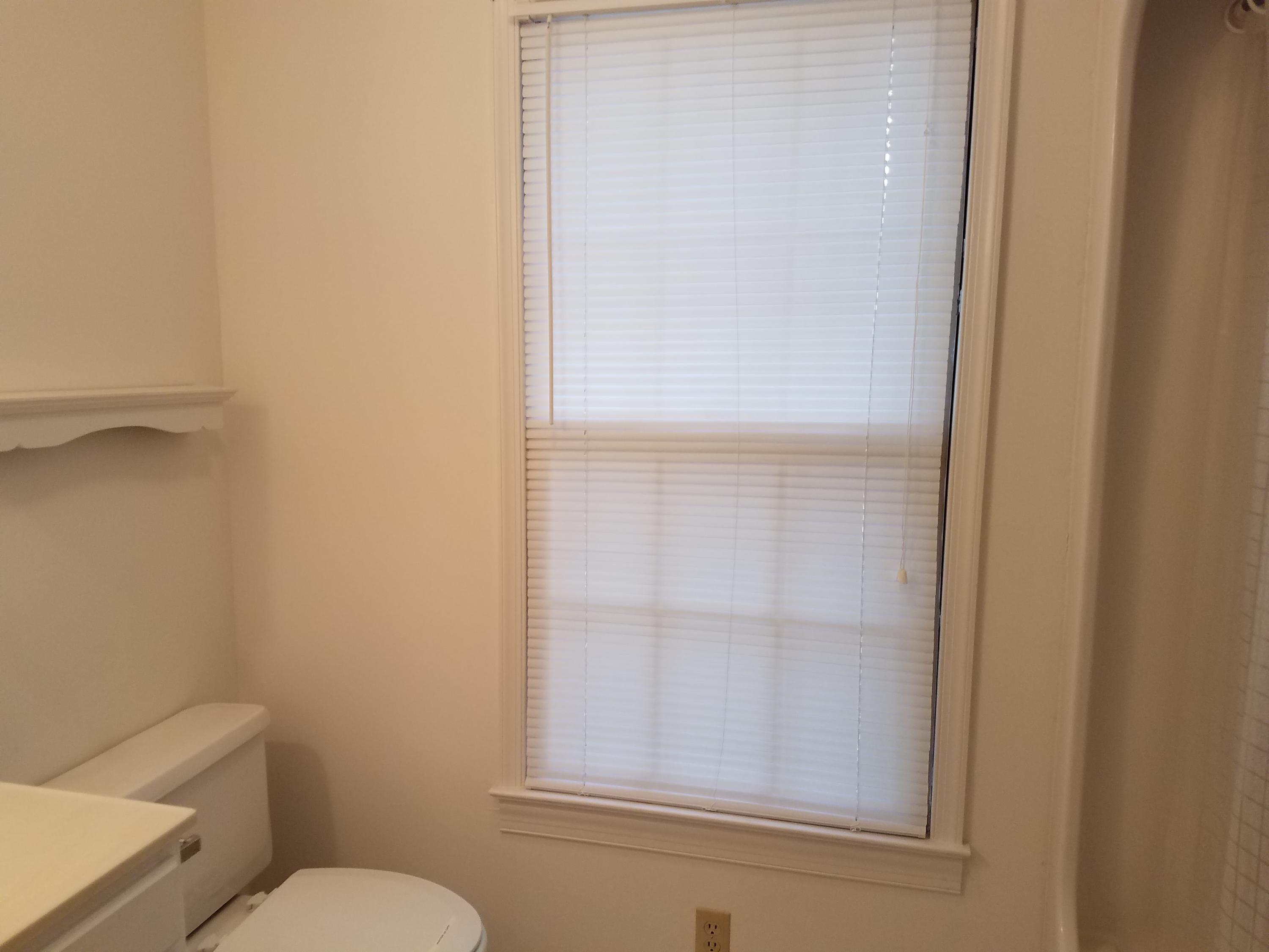 129 Thunder Ridge Road Huddleston, VA 24104 - Photo 26 of 72 Master bathroom
