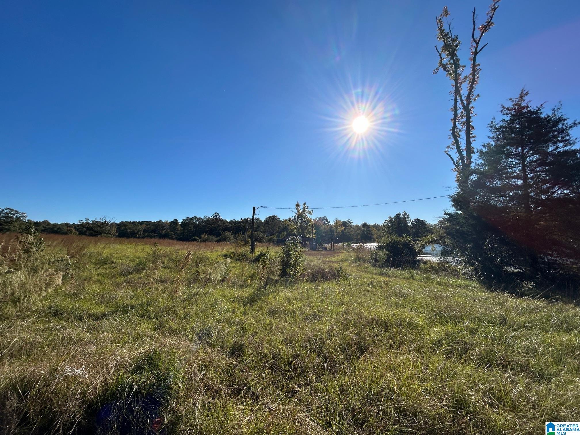 0 Rockyview Road, Unit X West Blocton, AL 35184 - Photo 8 of 11
