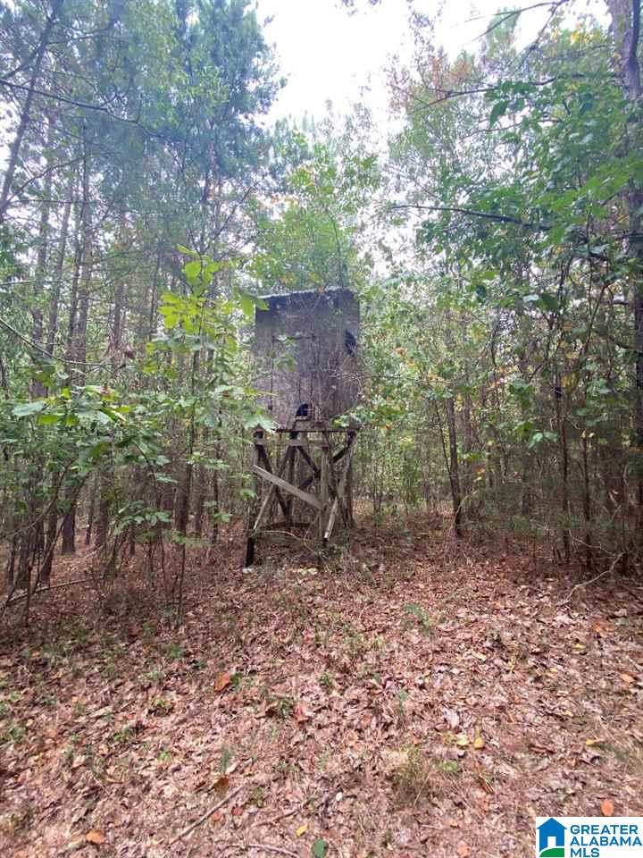 0 Tucker Mountain Road, Unit 40 Remlap, AL 35133 - Photo 6 of 7