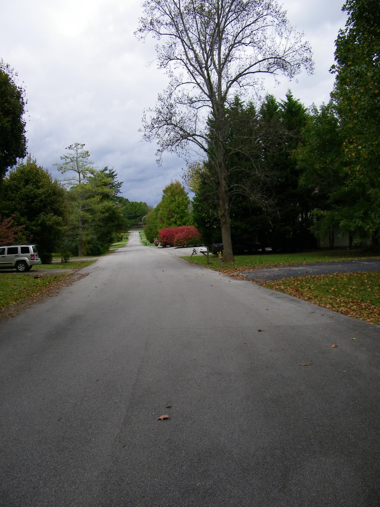 4401 Terrace View Road Louisville, TN 37777 - Photo 23 of 24 View down the street