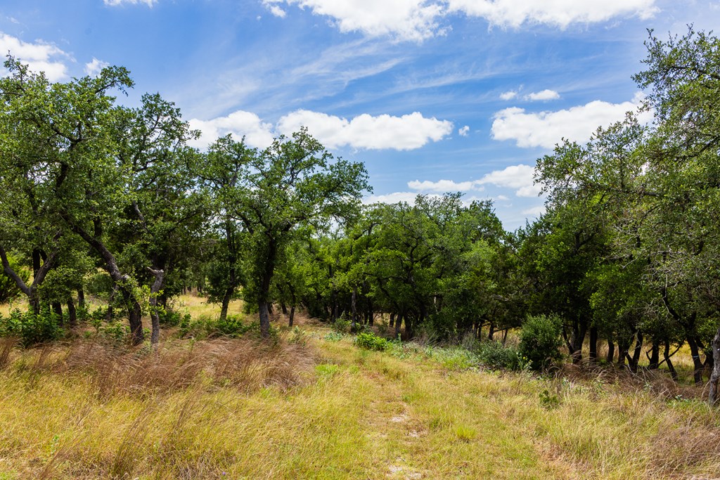 Lot 37 Boot Ranch Circle, Unit 37 Fredericksburg, TX 78624 - Photo 6 of 18