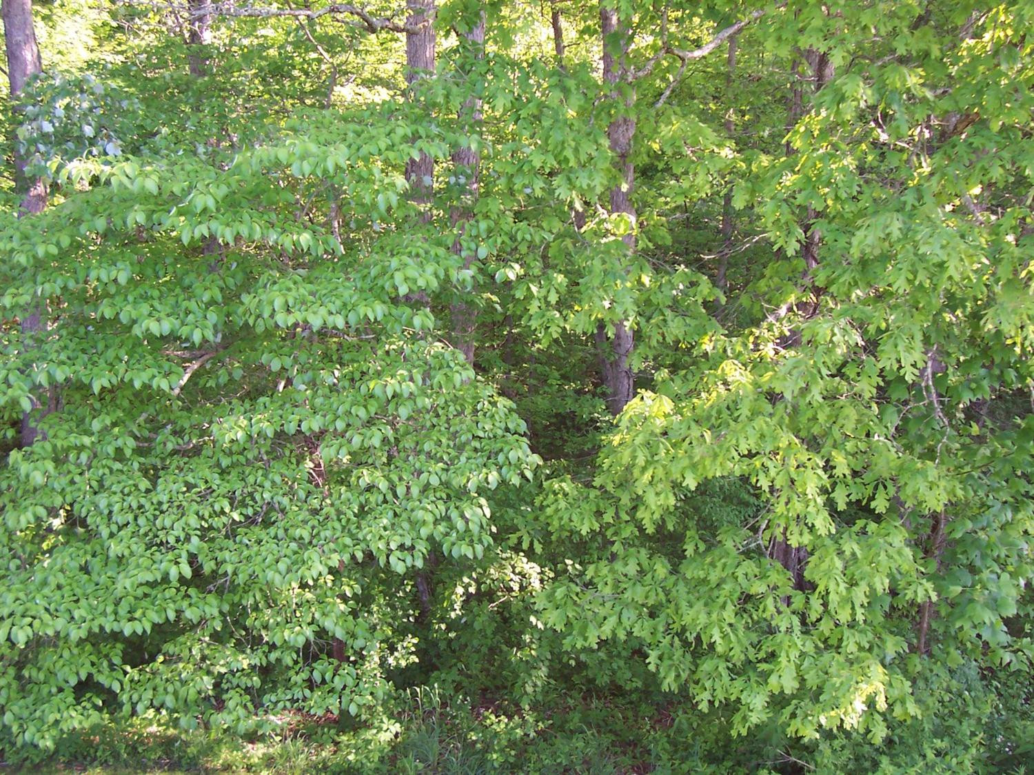 586 Peters Road McKee, KY 40447 - Photo 20 of 46 Photo 21