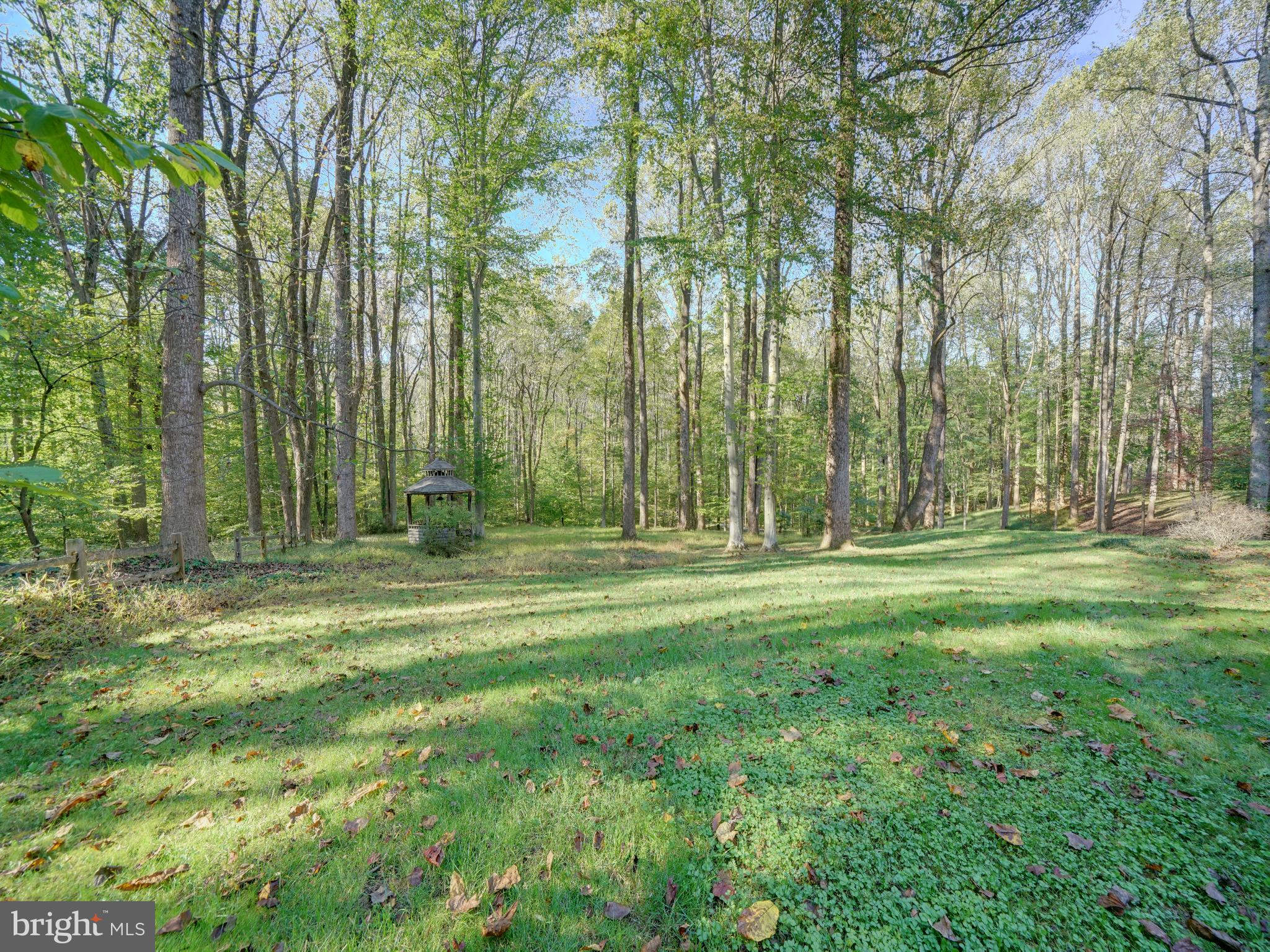 11818 Linden Chapel Road Clarksville, MD 21029 - Photo 105 of 121 a view of outdoor space with trees all around