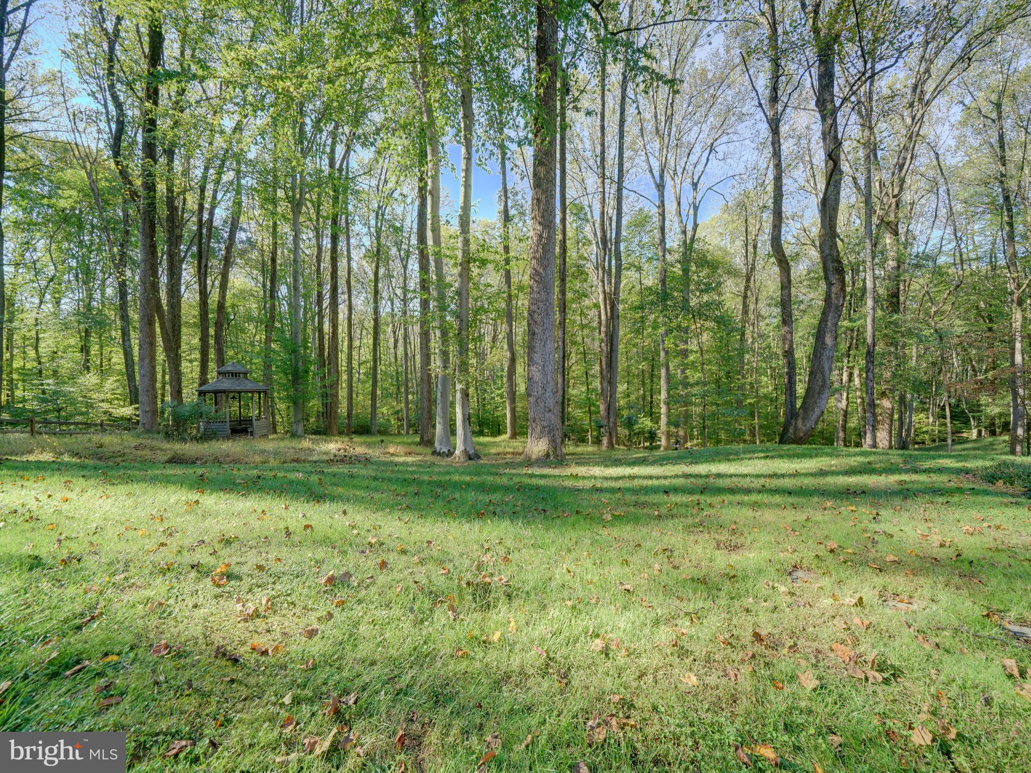 11818 Linden Chapel Road Clarksville, MD 21029 - Photo 106 of 121 a view of a park