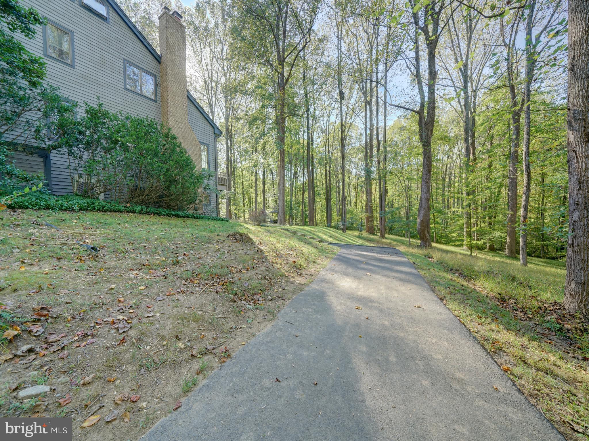 11818 Linden Chapel Road Clarksville, MD 21029 - Photo 119 of 121 a view of a yard with large trees