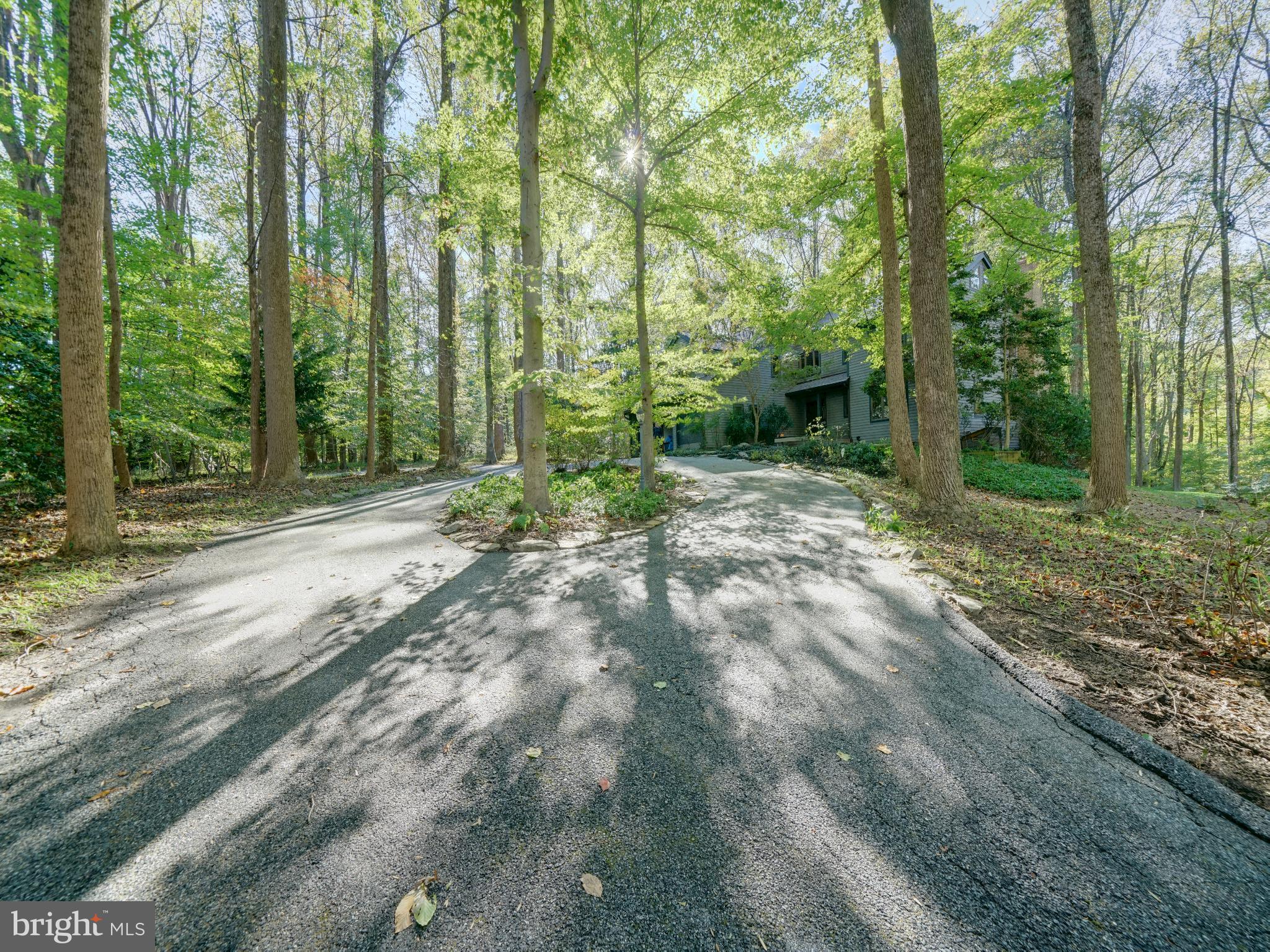 11818 Linden Chapel Road Clarksville, MD 21029 - Photo 121 of 121 a view of a forest with trees in the background