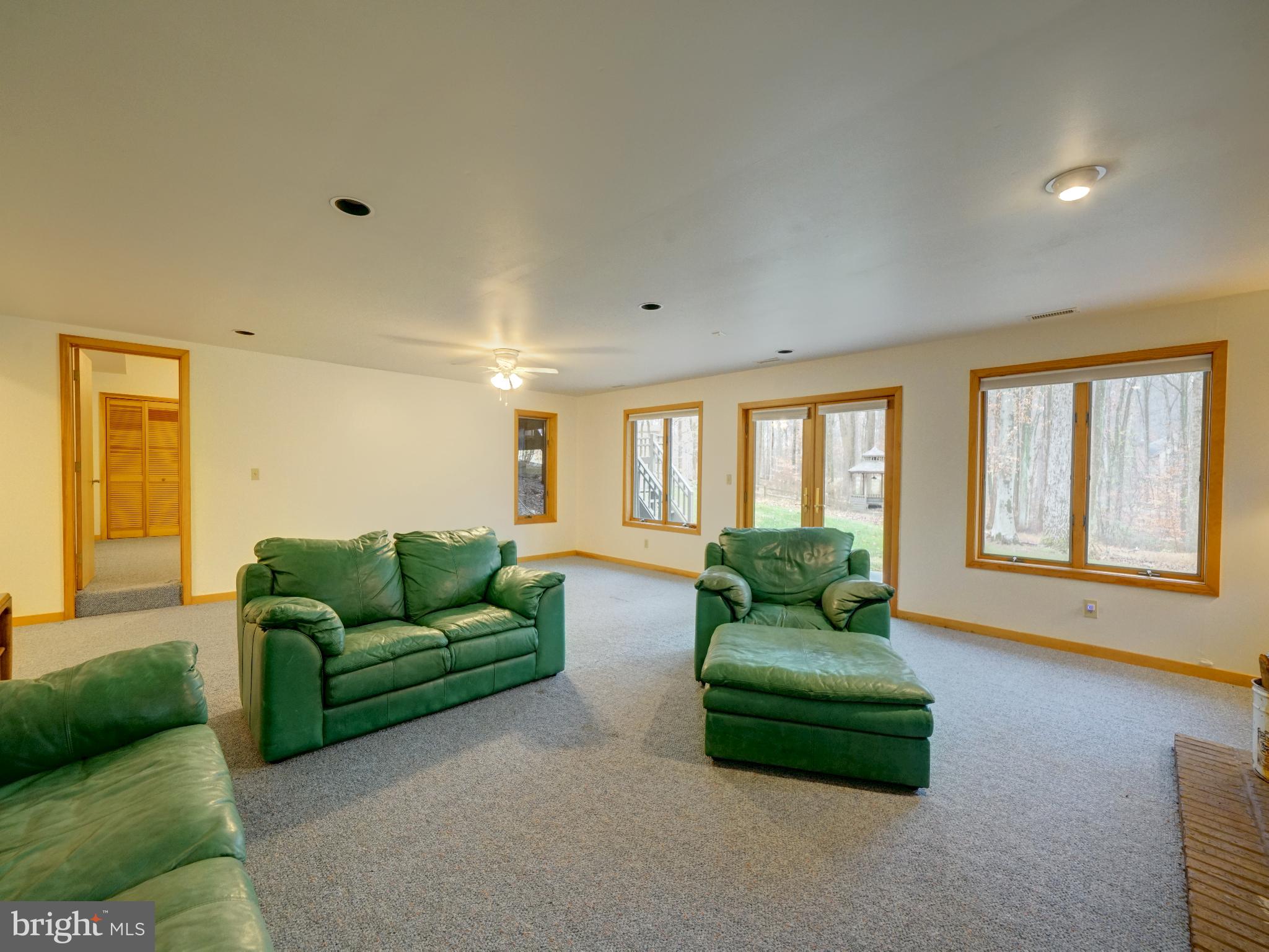 11818 Linden Chapel Road Clarksville, MD 21029 - Photo 87 of 121 a living room with furniture and a couch