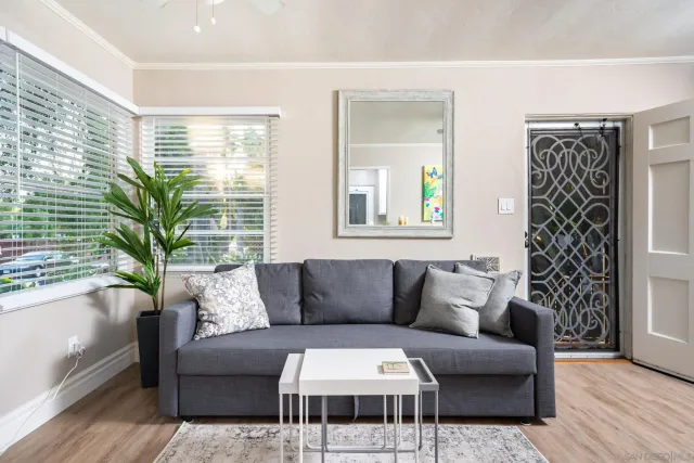 a living room with furniture and a potted plant